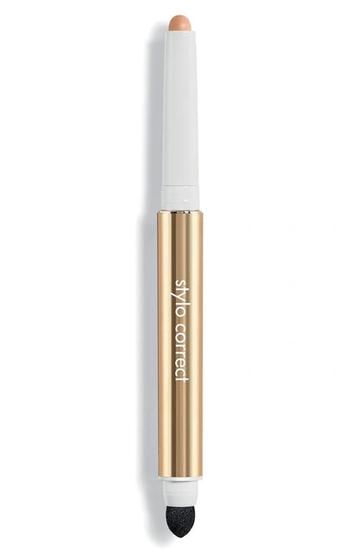 Shop Sisley Paris Stylo Correct Concealer Pen In Light 2