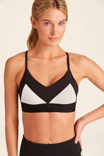 Alala Reef Bra In Multi