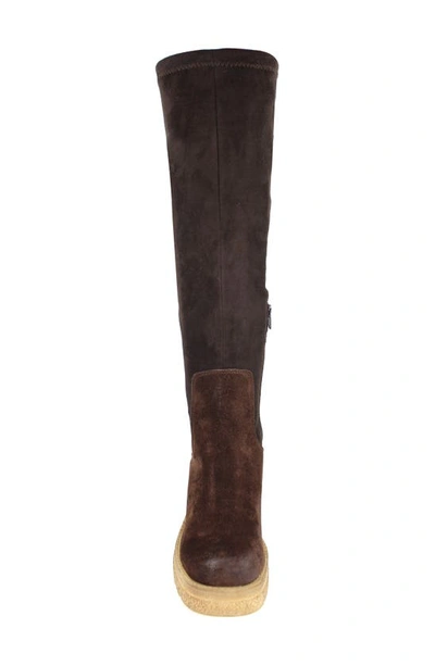 Zigi Jaylen Over The Knee Platform Boot In Brown