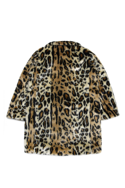 Shop Dsquared2 Coat With Faux Fur Print In Maculata