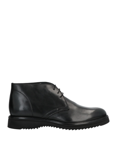 Baldinini Ankle Boots In Black