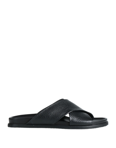 Shop Pollini Man Sandals Black Size 6 Calfskin