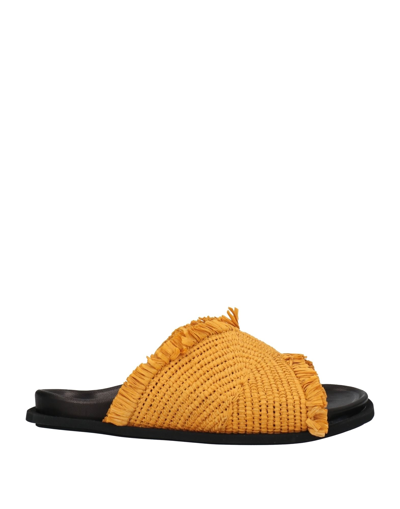Shop Inuikii Woman Sandals Ocher Size 12 Natural Raffia In Yellow