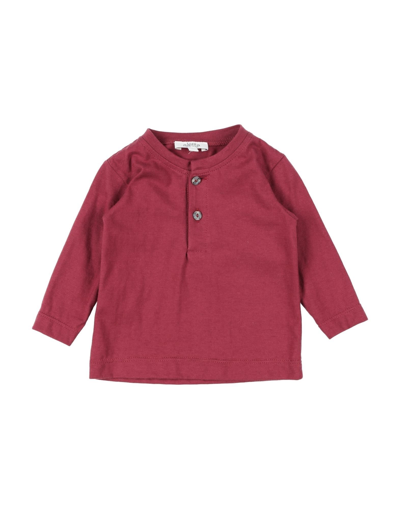 Shop Aletta Newborn Boy T-shirt Burgundy Size 3 Cotton, Elastane In Red