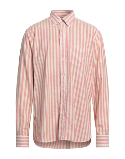 Shop Alessandro Gherardi Man Shirt Beige Size Xl Cotton
