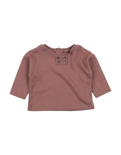 Shop Play Up Newborn Girl T-shirt Cocoa Size 3 Organic Cotton, Linen In Brown