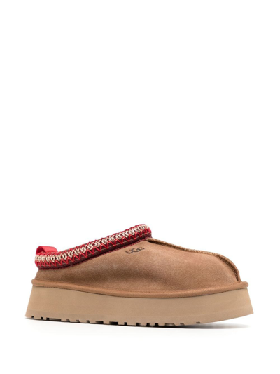 uggs tazz brown