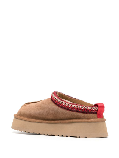 uggs tazz brown