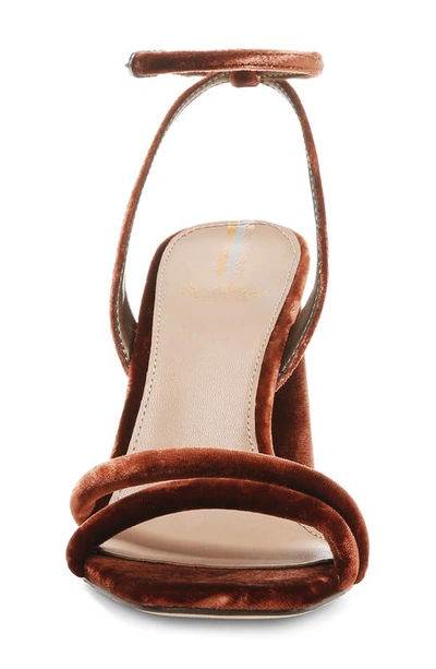 Shop Sam Edelman Kia Ankle Strap Sandal In Warm Copper Velvet