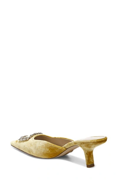 Shop Sam Edelman Brit Jewel Mule In Saffron