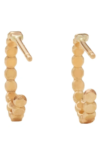 Made By Mary Poppy Hoop Earrings In Gold