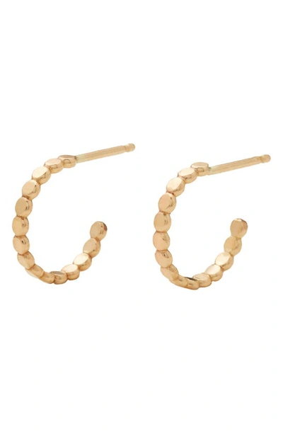 Made By Mary Poppy Hoop Earrings In Gold