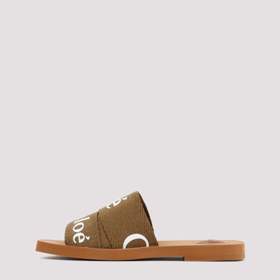 Shop Chloé Woody Open-toe Sandals Shoes In Brown