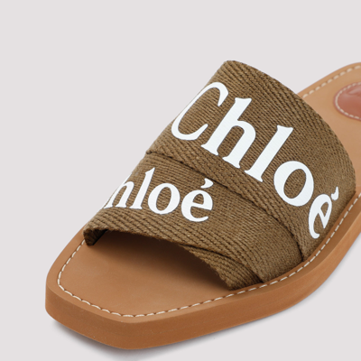 Shop Chloé Woody Open-toe Sandals Shoes In Brown