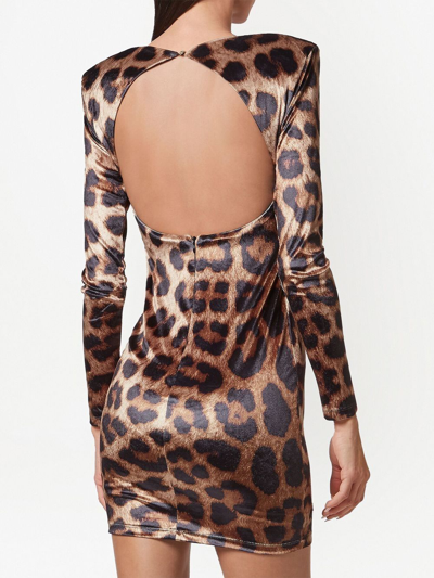 Shop Philipp Plein Leopard-print Cut-out Mini Dress In Neutrals