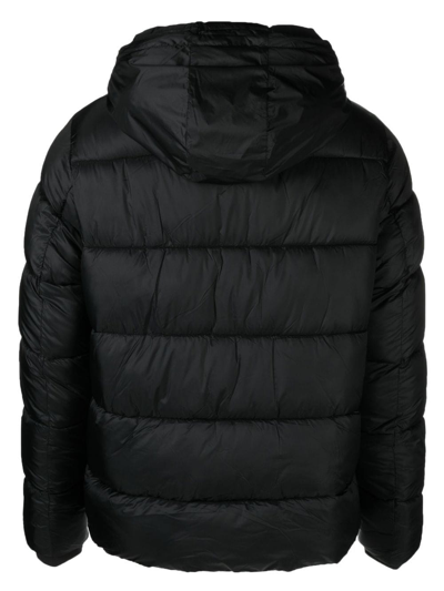 Shop Michael Kors Quilted Puffer Jacket In Black