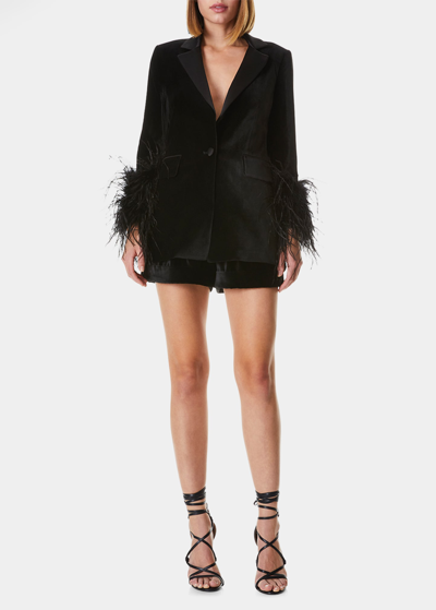 Shop Alice And Olivia Yona Feather-sleeve Velvet Blazer In Black