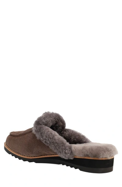 Shop Eileen Fisher Frost Genuine Shearling Lined Clog In Rye