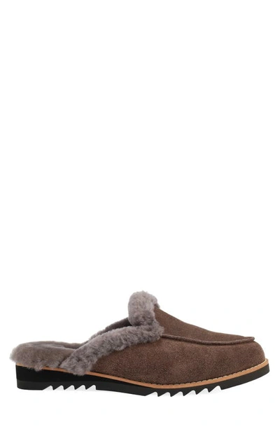 Shop Eileen Fisher Frost Genuine Shearling Lined Clog In Rye