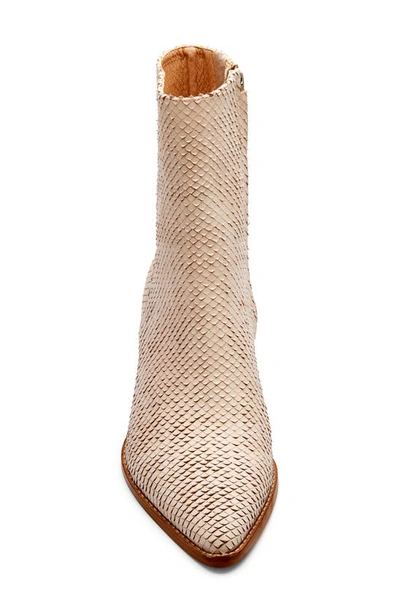 Shop Matisse Caty Western Pointed Toe Bootie In Blush Snake Print Leather