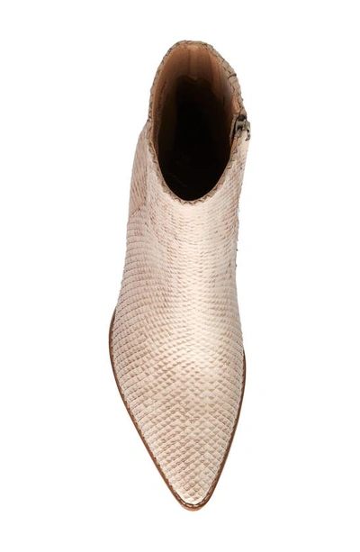 Shop Matisse Caty Western Pointed Toe Bootie In Blush Snake Print Leather