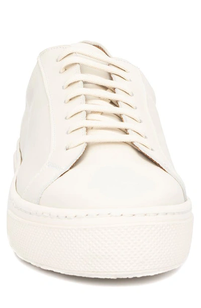 Shop Aquatalia Vic Platform Sneaker In Ice