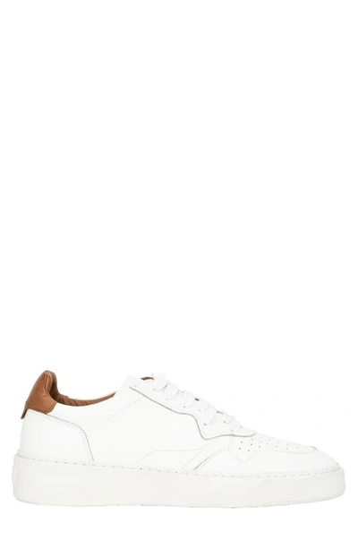 Shop Aquatalia Dimitri Sneaker In White