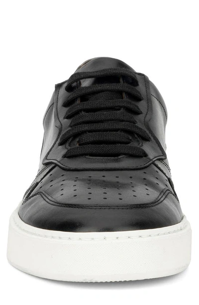 Shop Aquatalia Dimitri Sneaker In Black