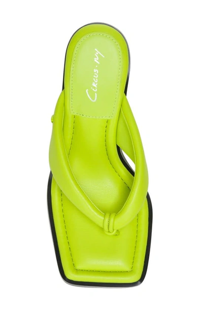 Shop Circus By Sam Edelman Skeet Sandal In Wasabi