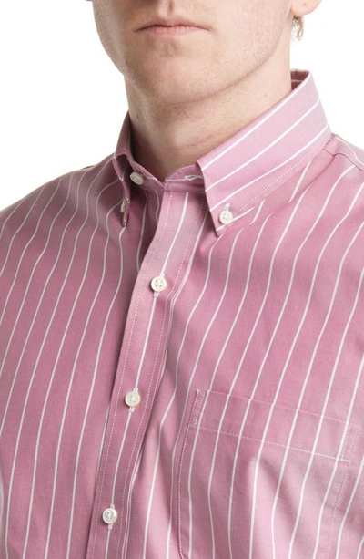 Shop Alton Lane Howard Supima® Cotton Blend Oxford Button-down Shirt In Wine Big Sky Stripe