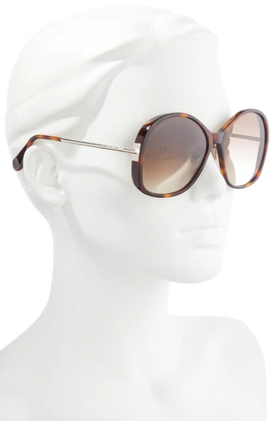 Shop Max Mara 60mm Round Sunglasses In Gold/ Brown