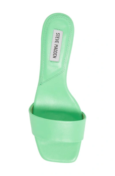 Shop Steve Madden Vella Slide Sandal In Green