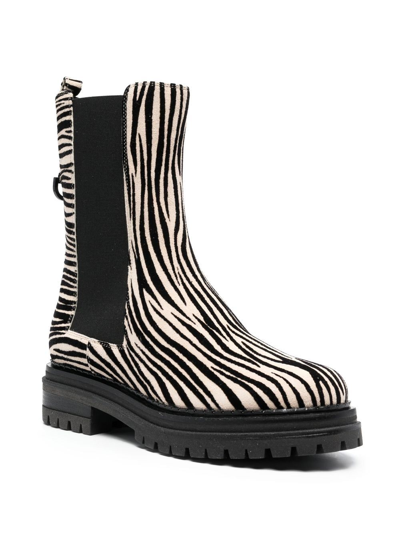 Shop Sergio Rossi Joan Zebra-print Ankle Boots In Schwarz