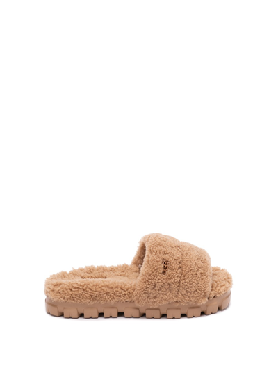 Shop Ugg `cozetta Curly` Slippers In Marrone