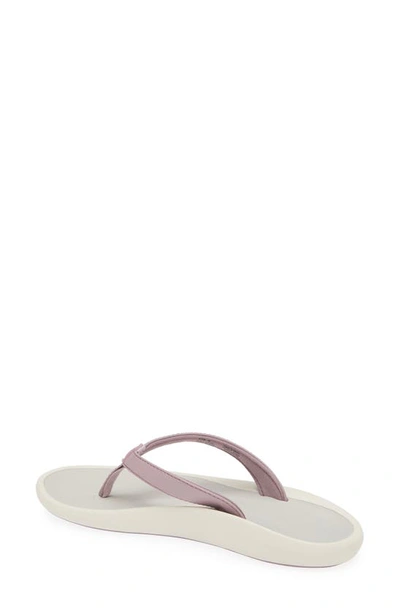 Shop Olukai Pioe Flip Flop In Lilac Chalk/ Mist Grey