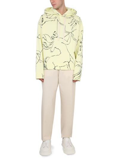 Jil Sander Wide-leg Cotton Pants In Beige