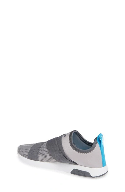 Shop Native Shoes Phoenix Slip-on Vegan Sneaker In Pigeon Grey/ Shell White