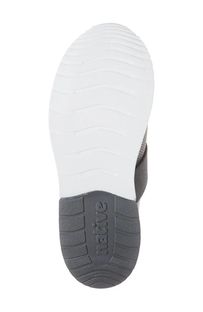 Shop Native Shoes Phoenix Slip-on Vegan Sneaker In Pigeon Grey/ Shell White