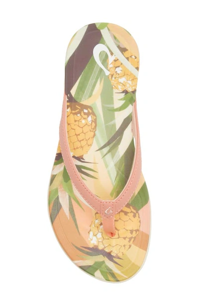 Shop Olukai Ho'opio Hau Flip Flop In Shell Coral / Pineapple