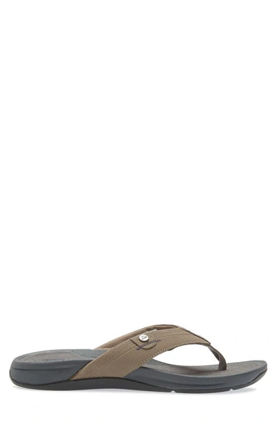 Shop Reef Pacific Flip Flop In Sand And Slate