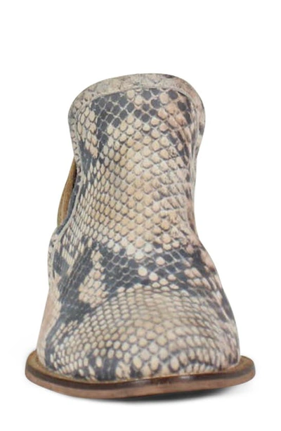 Diba True Shy Town Bootie In Snake Cognac