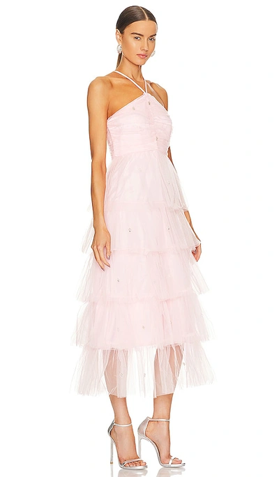 Shop Likely Shane Dress In Pink