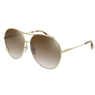 Shop Chloé Chloe Brown Pilot Ladies Sunglasses Ch0028s 001 63 In Brown / Gold