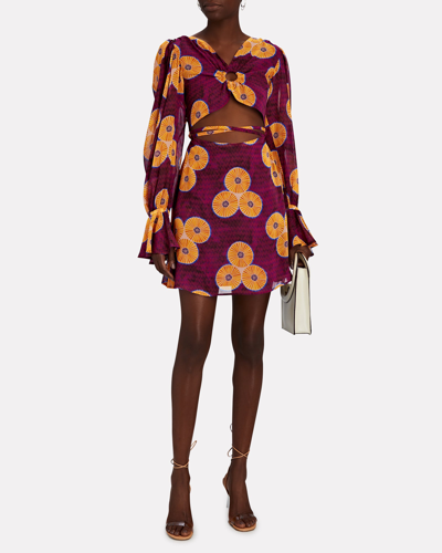 Shop Autumn Adeigbo Amelie Cut-out Floral Mini Dress In Multi