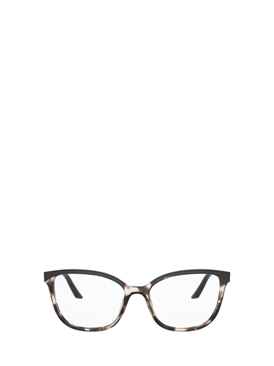Shop Prada Pr 07wv Tortoise Talc / Black Glasses