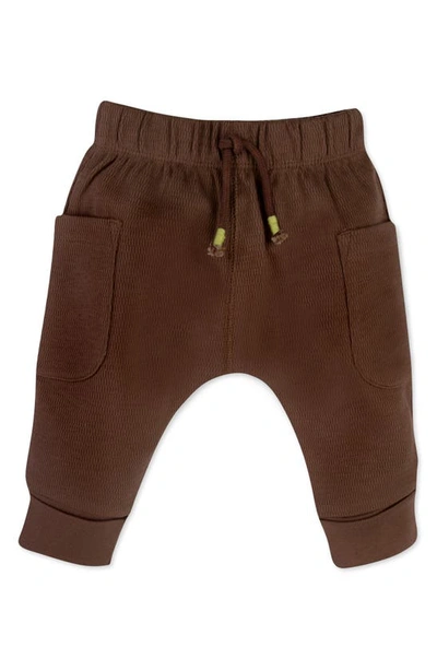 Shop Oliver & Rain Moose Organic Cotton Sweatshirt & Pants Set In Brown