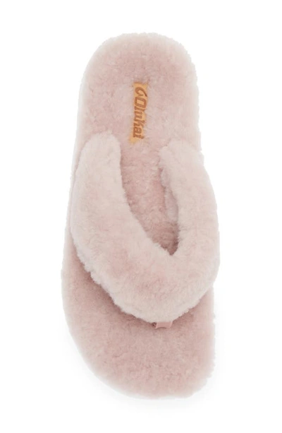 Shop Olukai Kipea Heu Genuine Shearling Slide Sandal In Pink Clay / Pink Clay