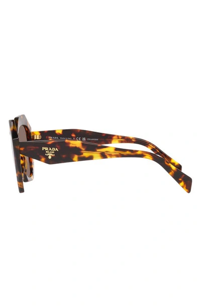 Shop Prada 53mm Polarized Irregular Sunglasses In Tortoise Polarized