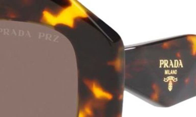 Shop Prada 53mm Polarized Irregular Sunglasses In Tortoise Polarized