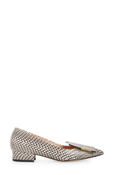 Shop Bells & Becks Allegra Pointed Toe Flat In Black And White